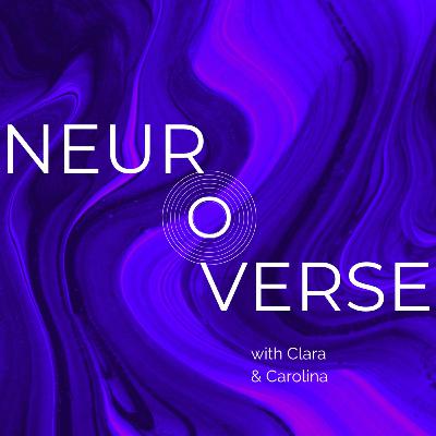 104. The Importance of Ideas in Neuroscience (with Dr. Mateusz Kostecki)