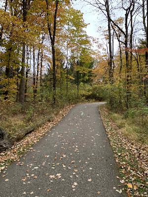 Episode 2 - Quarantine Running: How We're Staying Motivated