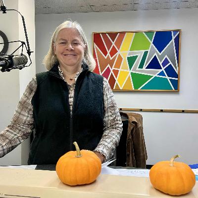 Wisconsin Rep. Tara Johnson on state's role helping local governments, legislative priorities and Democrats' focus Wisconsin Rep. Tara Johnson on state's role helping local governments, legislative priorities and Democrats' focus