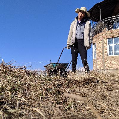 What I learned through Life