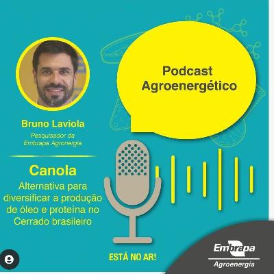Bruno Laviola - Pesquisador da Embrapa Agroenergia