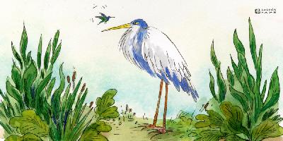 The Early Bird feat. Megan Boone & Jazmyn Simon The Early Bird feat. Megan Boone & Jazmyn Simon