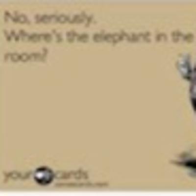 No, Seriously. Where's The Elephant In The Room?