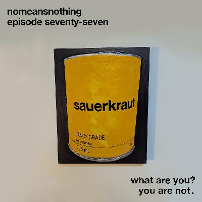 Ep 77 - What are you?  You are not.