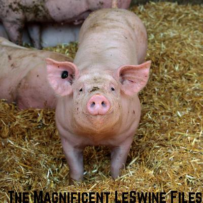 9th Annual New Japan G1 Top Ten