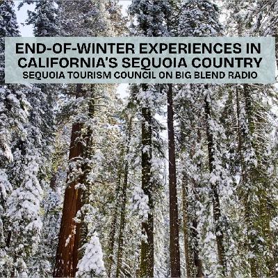 End-of-Winter Experiences in California's Sequoia Country