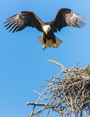 Tiempo de Vuelo