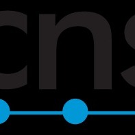 Corporate Network Services
