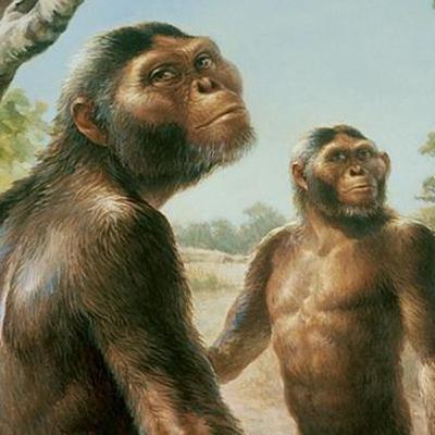 Lược sử ngoài người - Ep.2 - Nguồn gốc của "Xã hội"