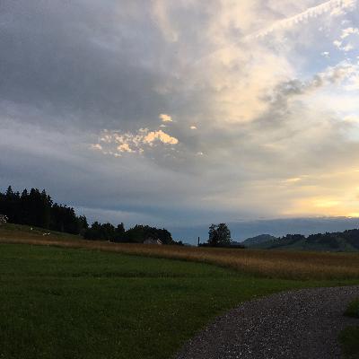 Thunder Performance Appenzell Thunder Performance Appenzell