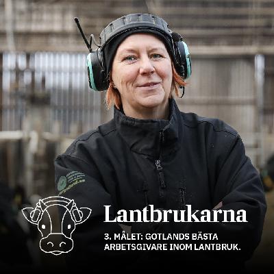 3. Målet: Gotlands bästa arbetsgivare inom lantbruk