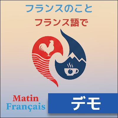 「フランス人のデモ」フランスの政治は大丈夫？？