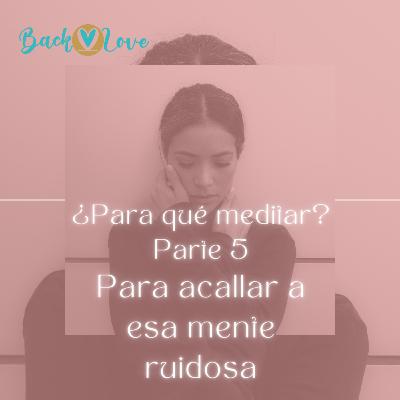 ¿PARA QUÉ MEDITAR? PARTE 5 - PARA ACALLAR DE UNA VEZ A ESA MENTE RUIDOSA