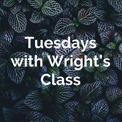 Halie Webster Halie Webster