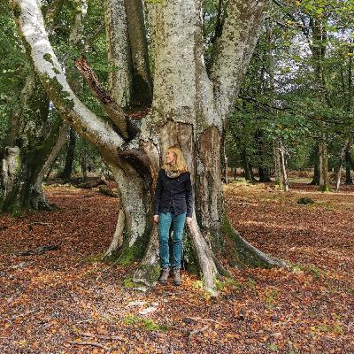 Episode 101 - Thoughts from Inside a Hollow Tree