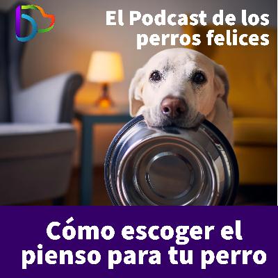 Cómo escoger el  pienso para tu perro. Alimentación canina.