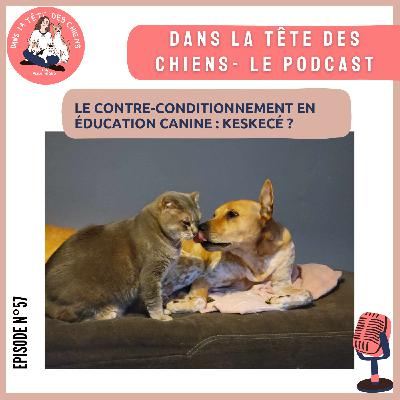 Le contre-conditionnement en éducation canine : keskecé ?