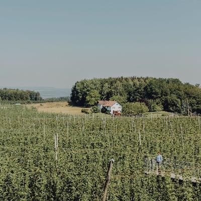 „Dann lässt es einen nicht mehr los“: Willkommen auf dem Hopfengut No. 20 in Tettnang!