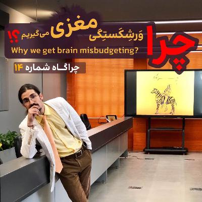 چراگاه ۱۴- چرا ورشکستگی مغزی می‌گیریم؟