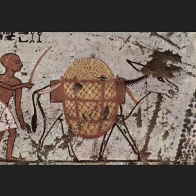 Misterios On Air T10x10: Misterios y Leyendas sobre los Burros