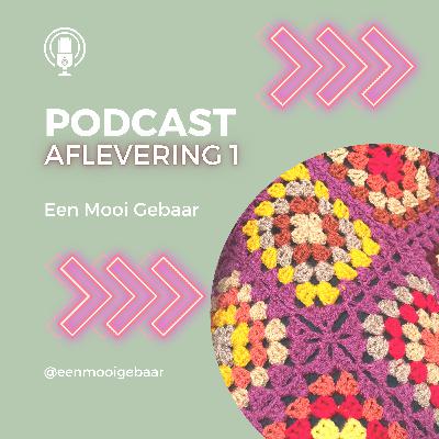 1. Wie of wat is Een Mooi Gebaar?