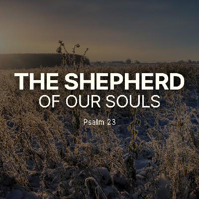 The Shepherd of Our Souls