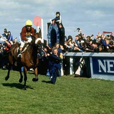 Scrapyard Grand National Scrapyard Grand National