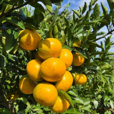 헤세드 환경교실