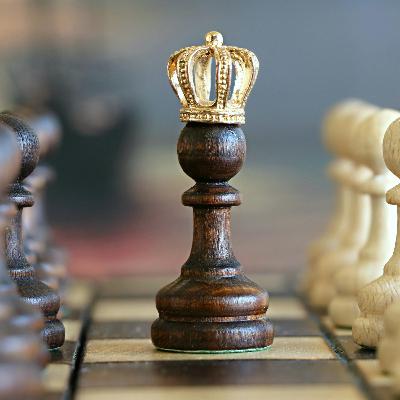 L'Intelligence Artificielle détruit l'économie de la connaissance (et le diplôme ne vaut plus rien)