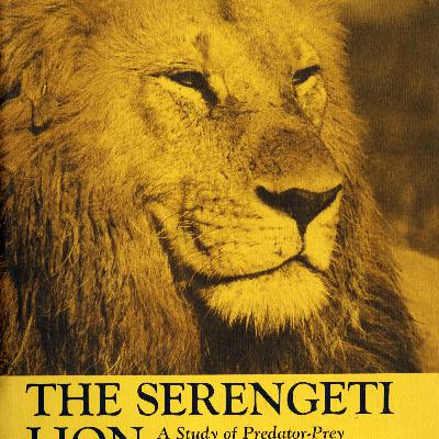 Dialogue about "The Serengeti Lion" by George Schaller Dialogue about "The Serengeti Lion" by George Schaller