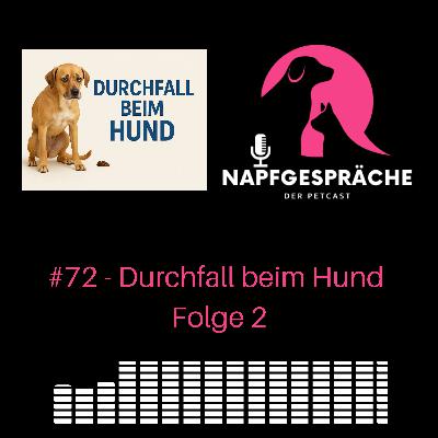 #72 - Durchfall beim Hund Teil2