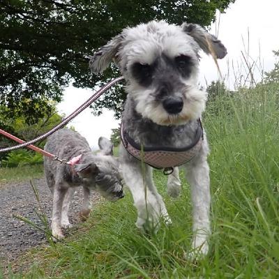 やってよかった自分磨き•自己投資教えて