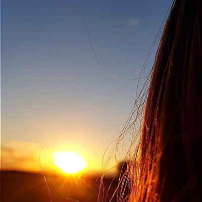 Oração Hooponopono Oração Hooponopono