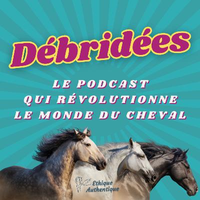 EP 27. La comparaison : complice inattendue de la réussite