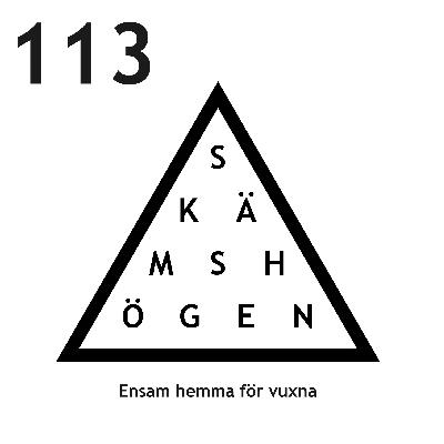 Avsnitt 113 – Ensam hemma för vuxna Avsnitt 113 – Ensam hemma för vuxna