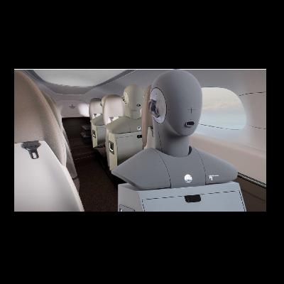 (2024 December 5) AIAA - Zone Concepts in eVTOL and Personal Transportation Systems (Lunch 'n Learn, December 5)