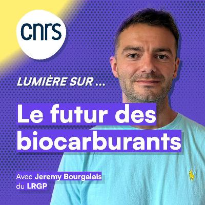 Lumière sur... Le futur des biocarburants