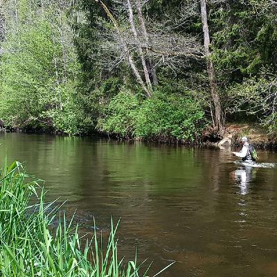 Ireland at the World Fly Fishing Championships