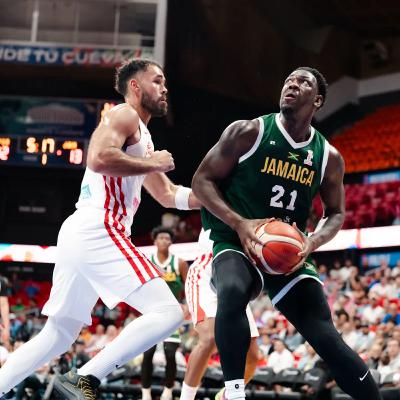 Resumen del año federativo 2025