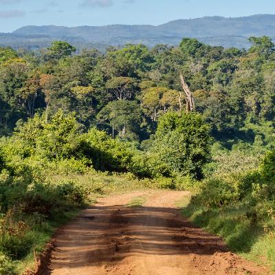 Highlights 2025: Elefanten, Schokolade und alles im Hausboot