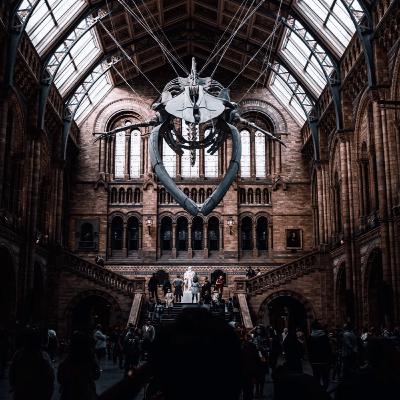 Social Intelligence Social Intelligence