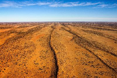 Nightlife Travel - The Simpson Desert