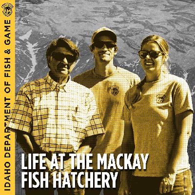 Ep. 7 - Life at the Mackay Fish Hatchery