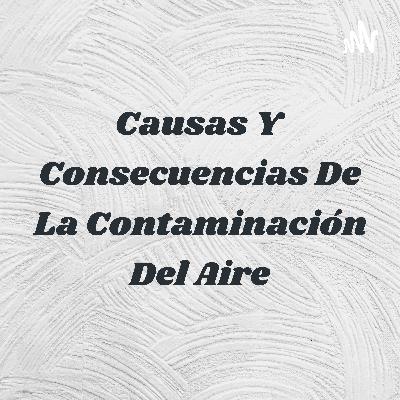 Causas y consecuencias de la contaminación del aire