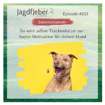 P213: So wird selbst Trockenfutter zur Super-Motivation für deinen Hund P213: So wird selbst Trockenfutter zur Super-Motivation für deinen Hund