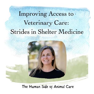 Improving Access to Veterinary Care: Strides in Shelter Medicine