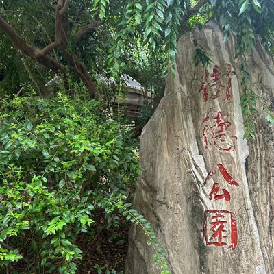#55 斯文里：Yuki生命土壤中的豬屠口（下）