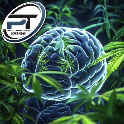 Cannabis Usage Associated With Larger Brain Volume