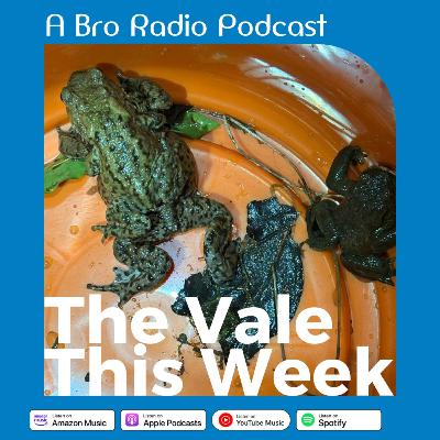 Tall Ships, Toads and Trains - Vale This Week - 25th February 2026 Tall Ships, Toads and Trains - Vale This Week - 25th February 2026