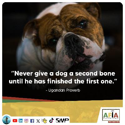Never Give a Dog a Second Bone Until He Has Finished the First One | Uganda Proverb | AFIAPodcast Never Give a Dog a Second Bone Until He Has Finished the First One | Uganda Proverb | AFIAPodcast